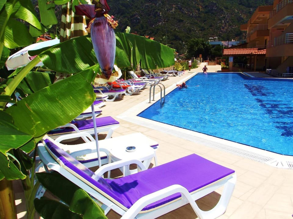 Facade/entrance, Summer, View (from property/room), Swimming pool, Swimming pool
