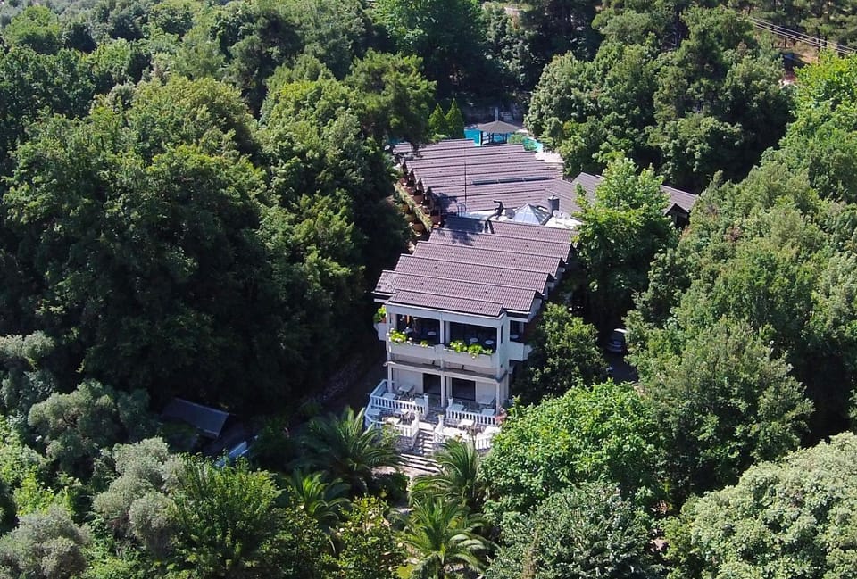 Day, Bird's eye view