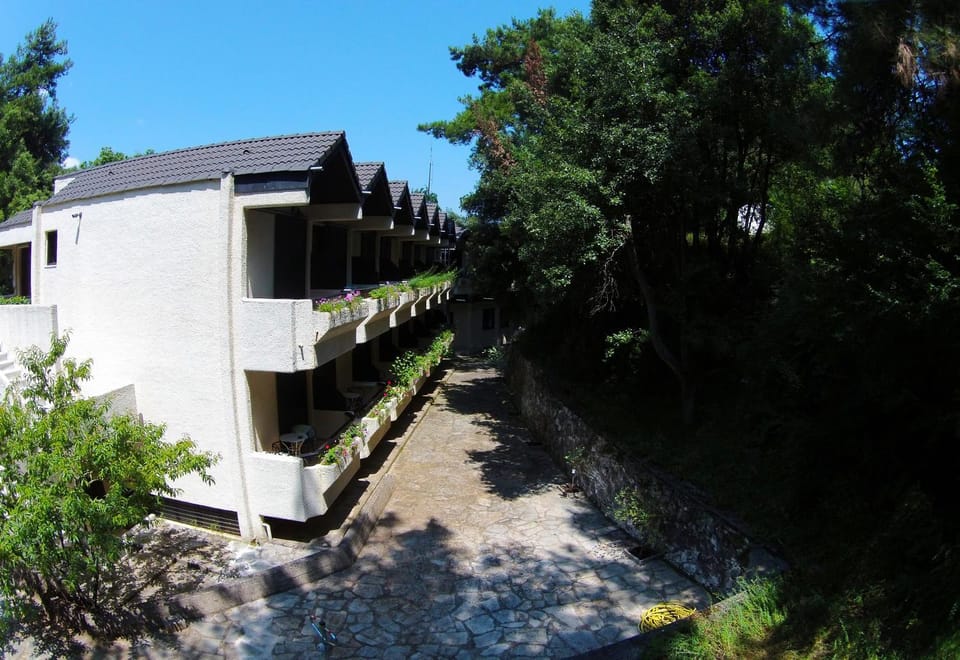 Property building, Day