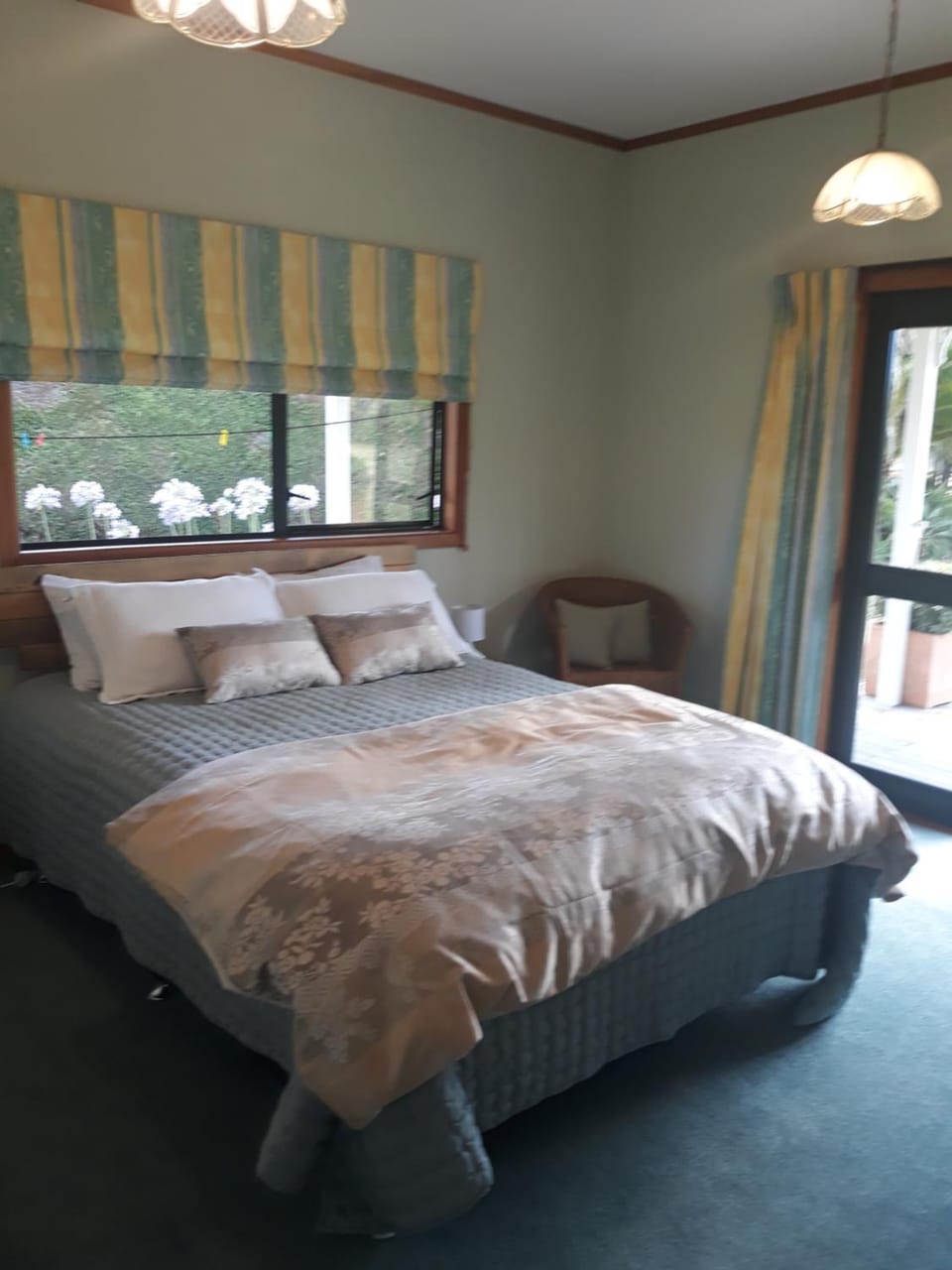 Rural Palms Bed and Breakfast in Northland