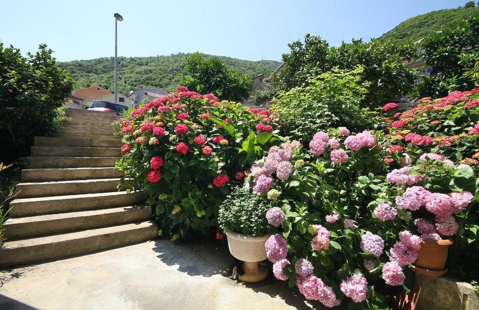 Garden, View (from property/room), Decorative detail