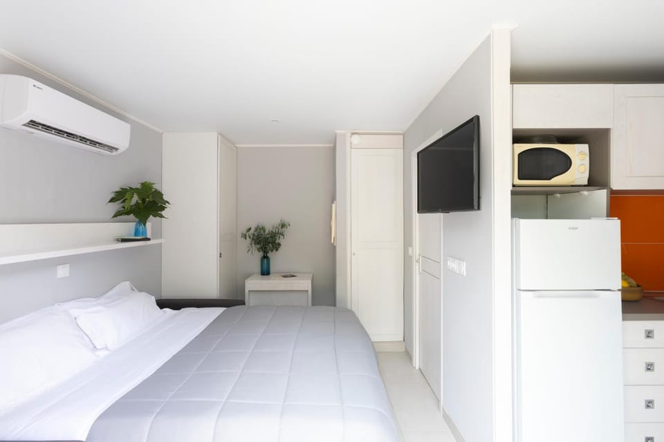 Bed, TV and multimedia, Kitchen or kitchenette, Photo of the whole room, wardrobe, air conditioner