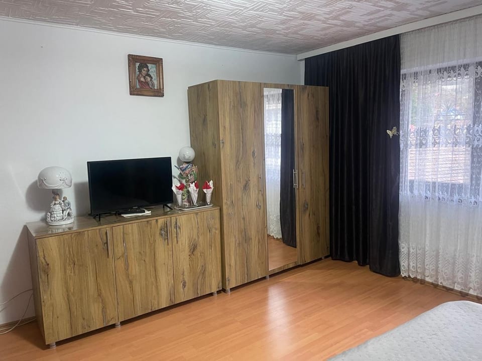 Butoianu Spate I Apartment in Serbia