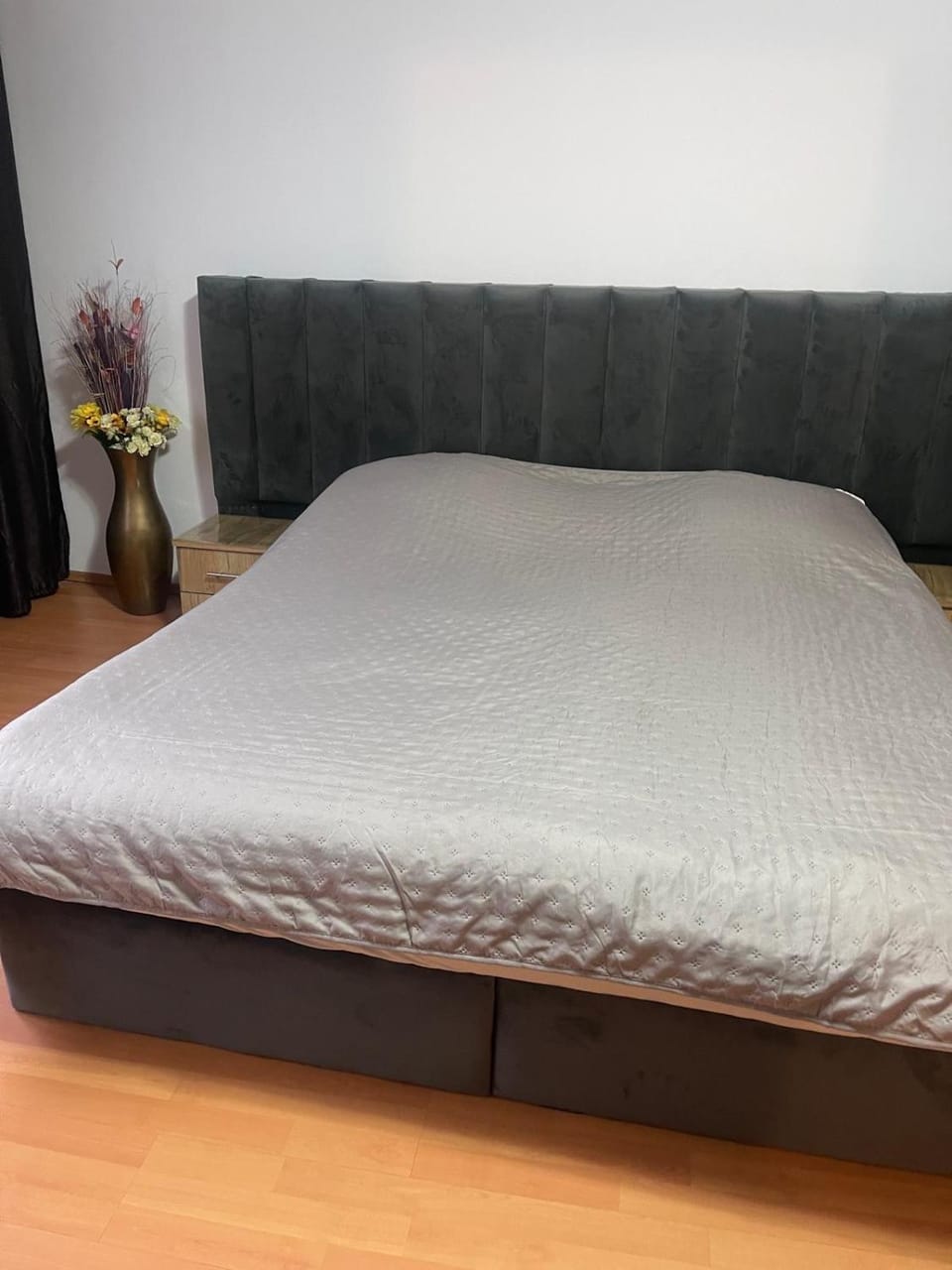 Butoianu Spate I Apartment in Serbia