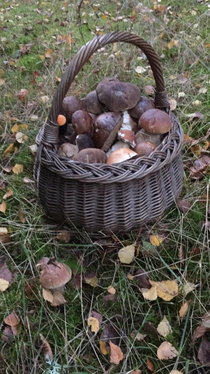 Pokoje Przy Warszawskiej Vacation rental in West Pomeranian Voivodeship, Poland