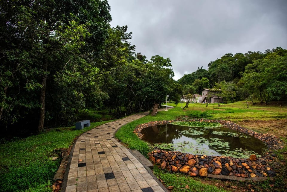Natural landscape