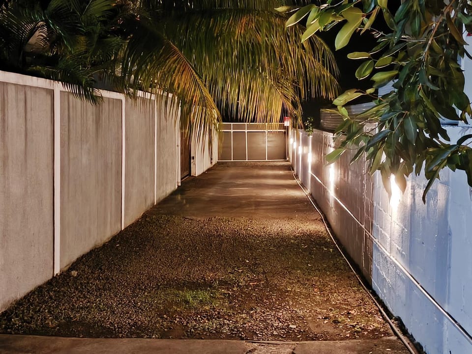 Facade/entrance, Night, Street view