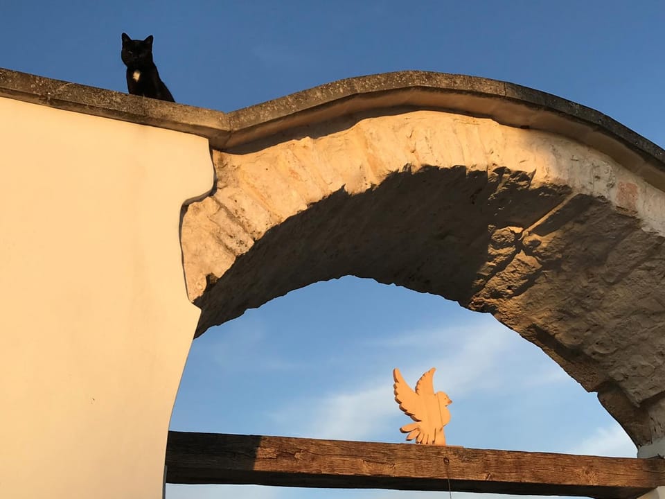 Relais Masseria della Colomba - Agriturismo Bed and Breakfast in Province of Taranto