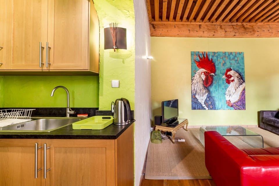 All in Lyon | La Loge des Avocats du Vieux Lyon Apartment in Lyon