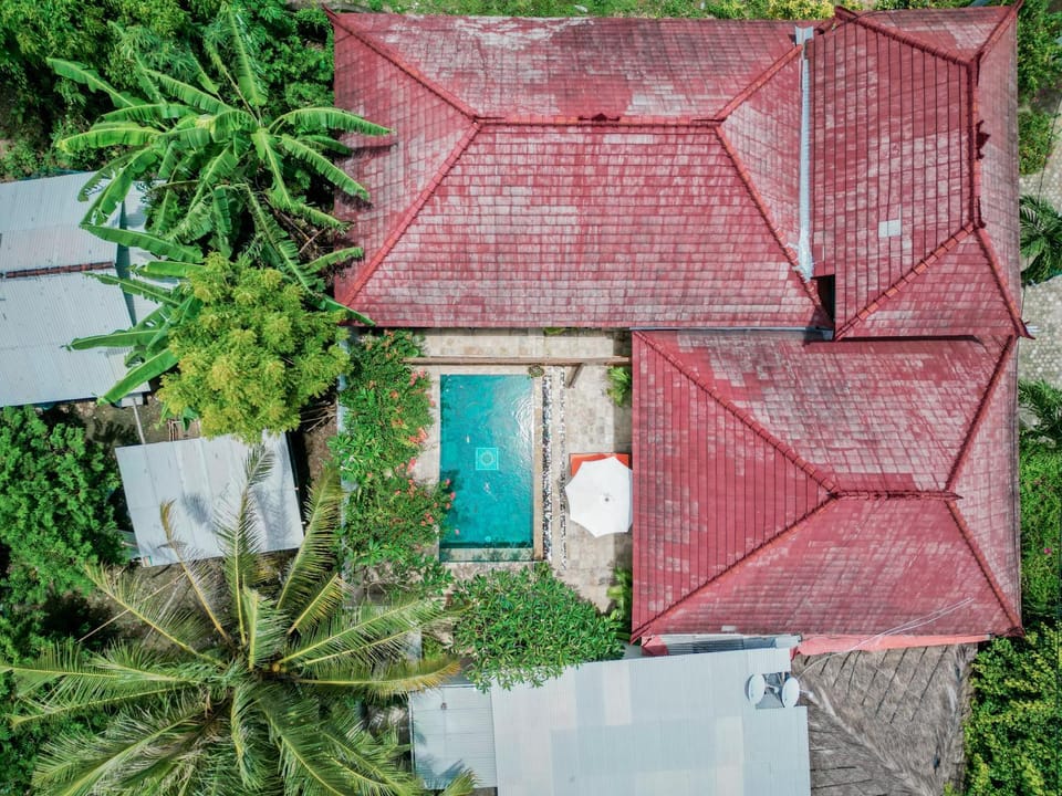 Property building, Day, Garden, Garden view