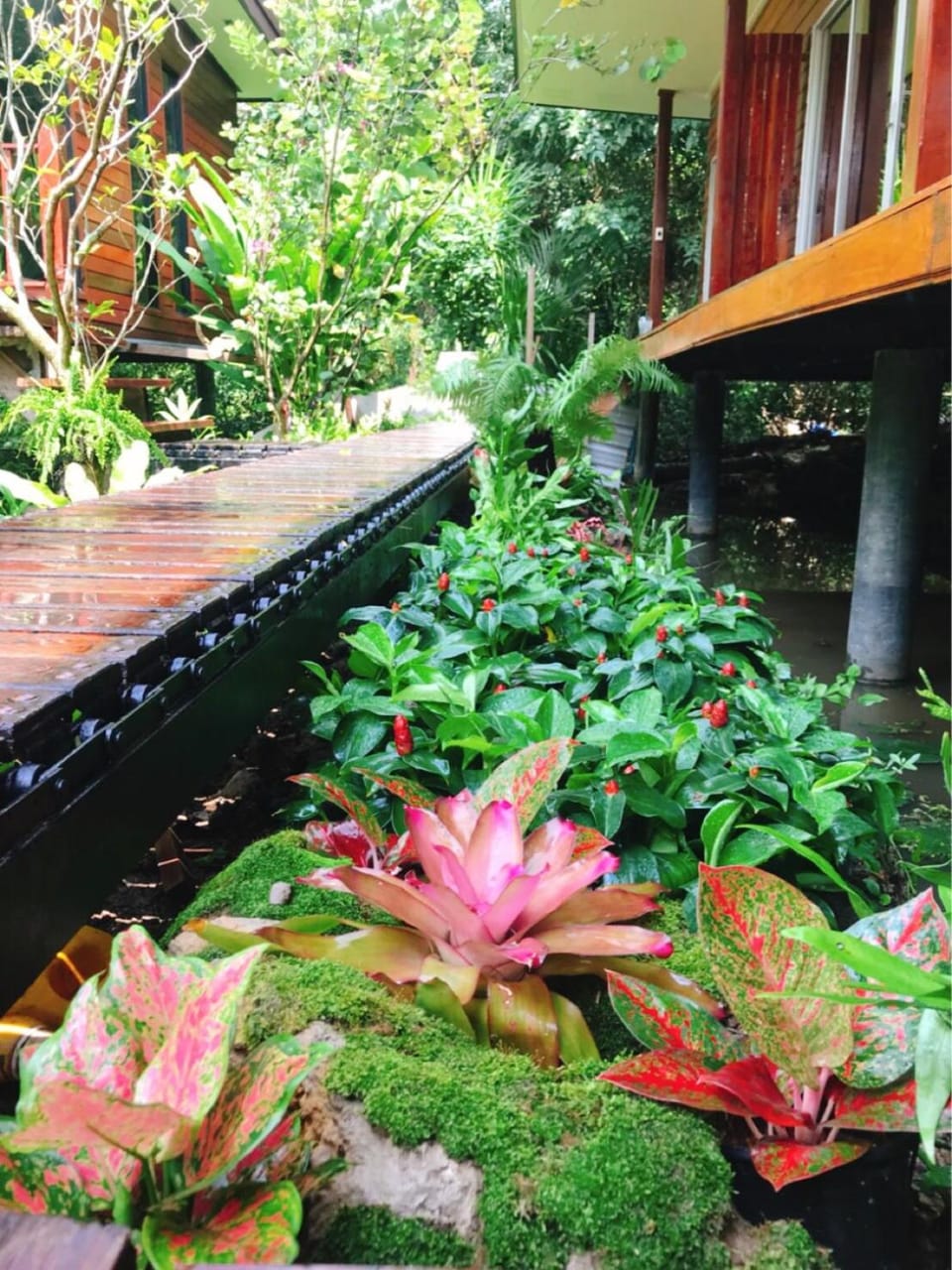 88 Homestay Vacation rental in Bangkok