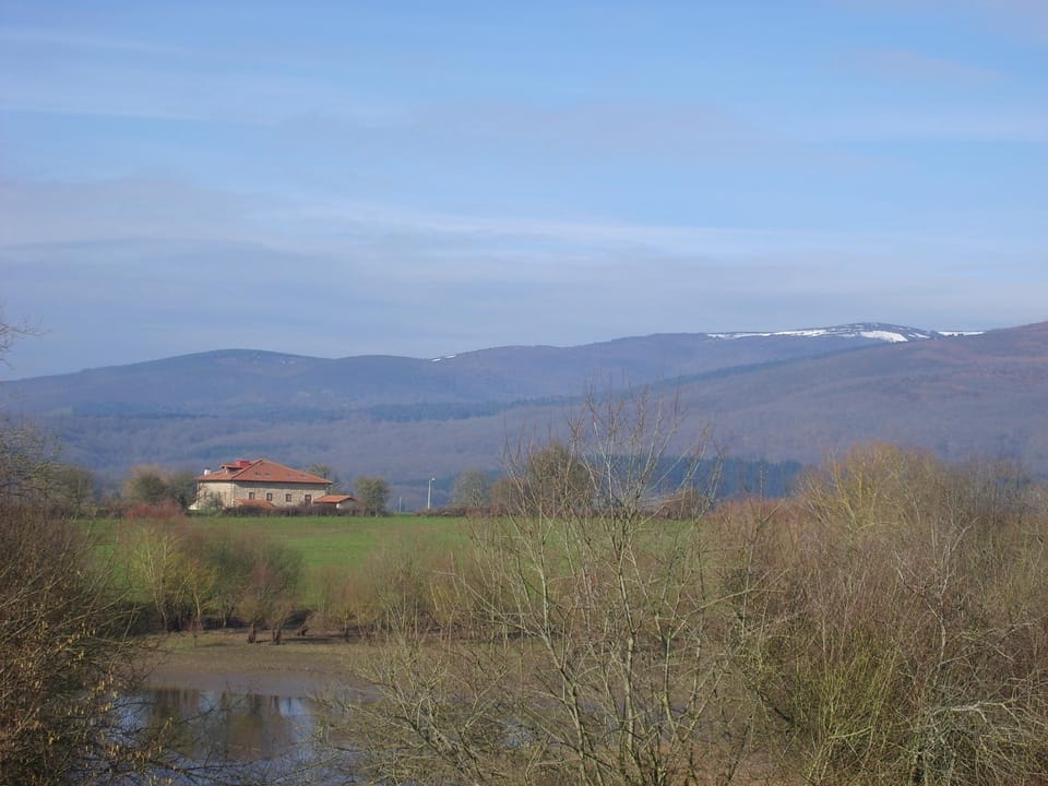 Natural landscape