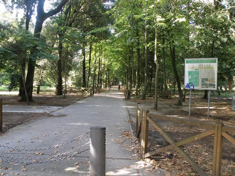 Hotel kim Hotel in Viareggio