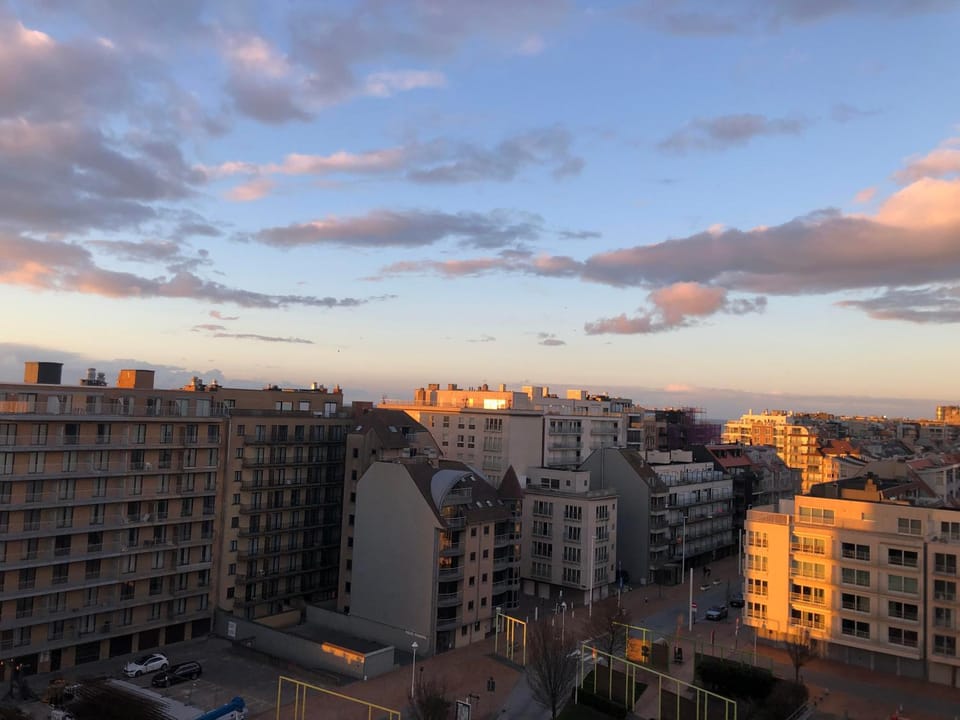 Meeuwenbank Apartment in Koksijde