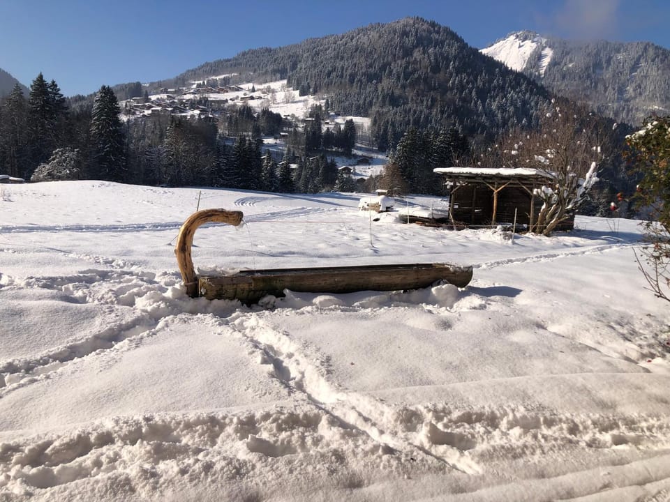 Chalet La Merlerie Apartment in Montriond