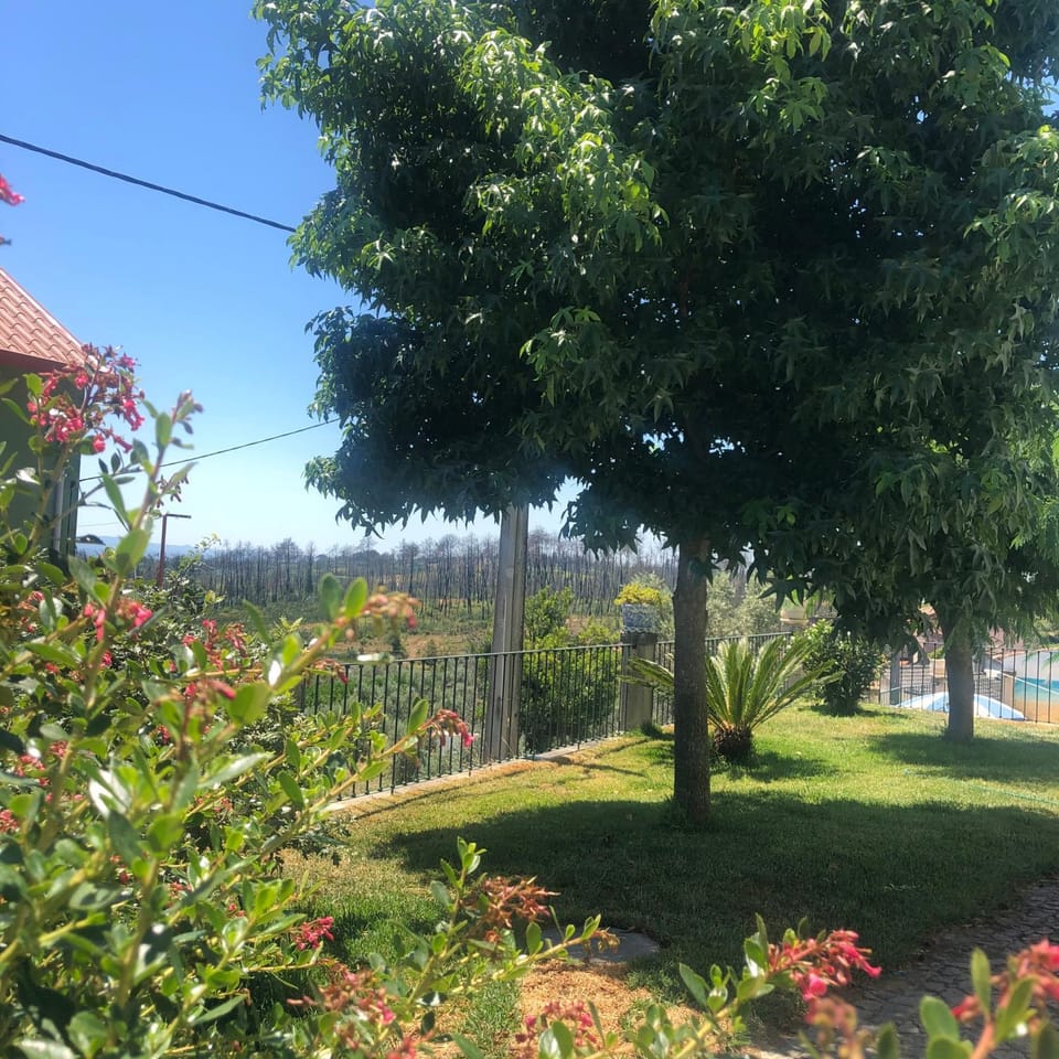 SOLAR DA SERRA-GuestHouse Bed and Breakfast in Portugal
