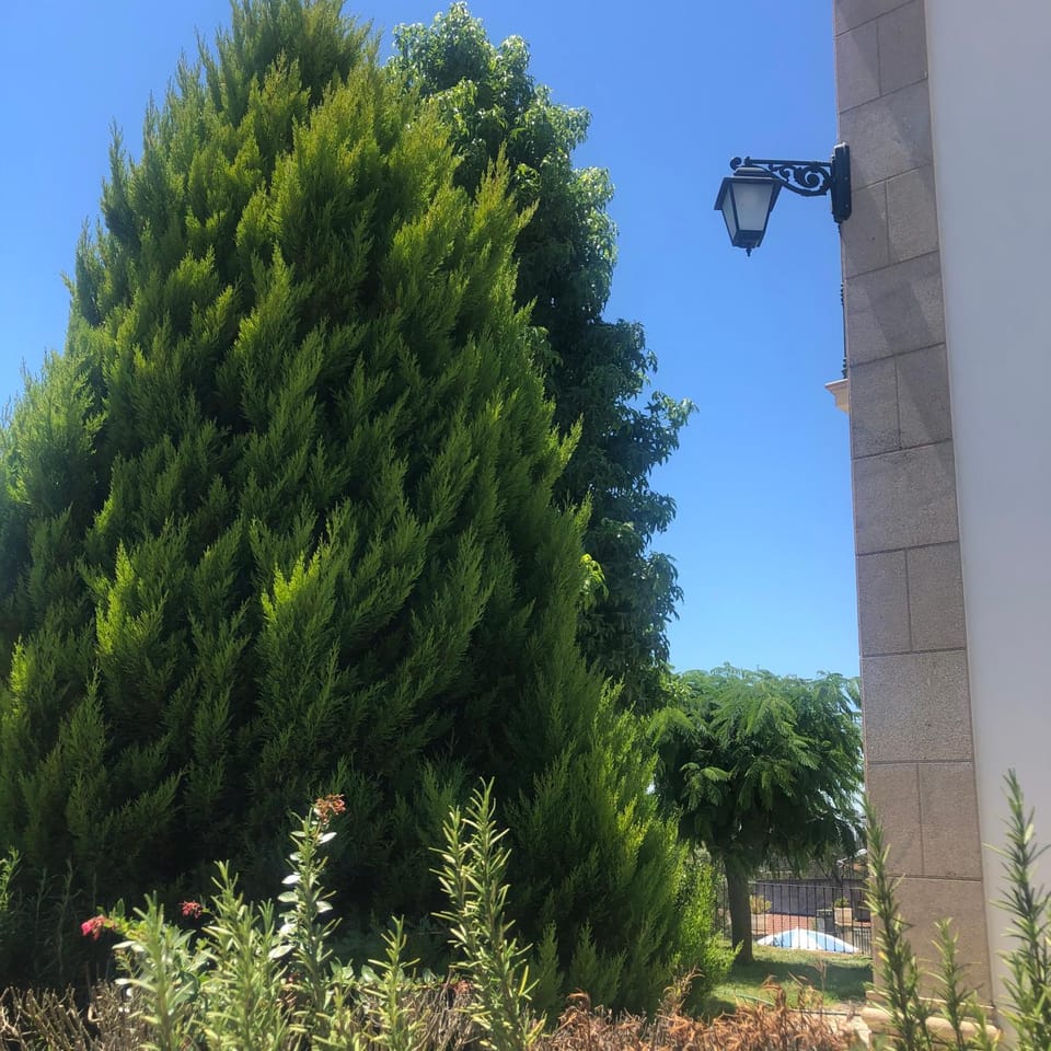 SOLAR DA SERRA-GuestHouse Bed and Breakfast in Portugal