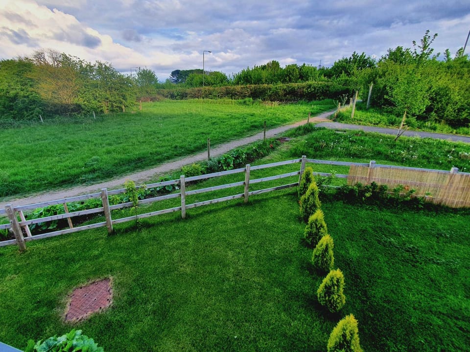 Natural landscape, Garden, Hiking