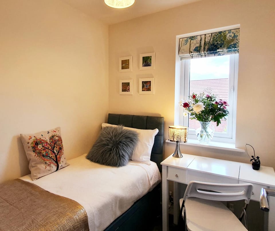 Bed, Photo of the whole room, Bedroom