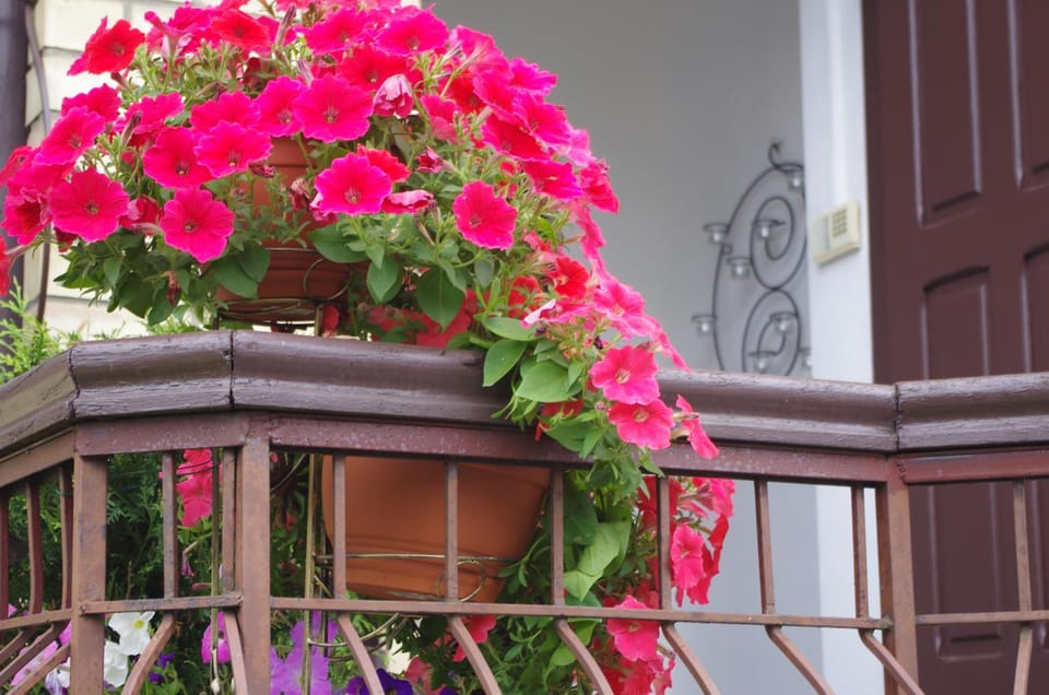 Villand Hotel with Free Private Parking and Self Check In Bed and Breakfast in Riga
