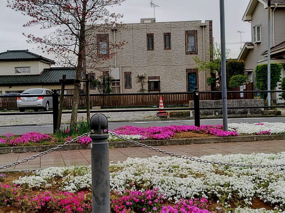 Guesthouse Shang House in Japan