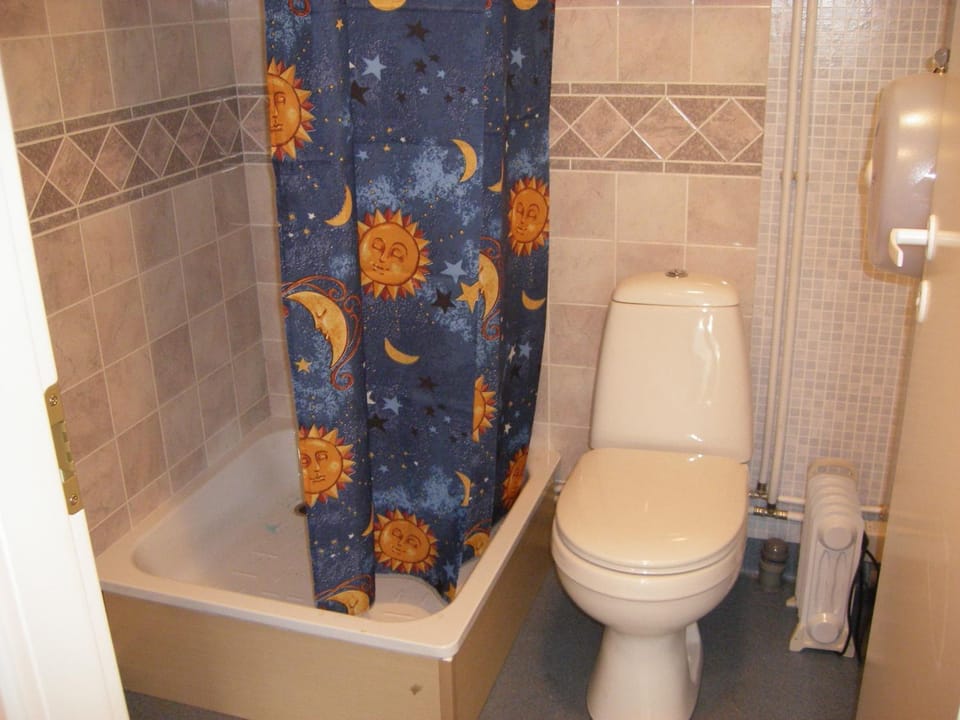 Toilet, Bathroom