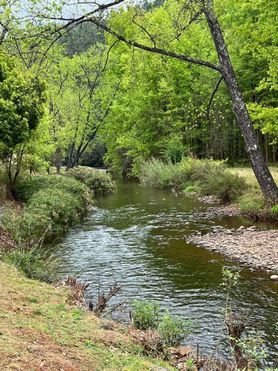 River view