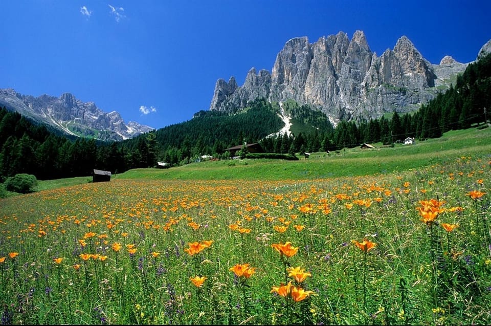 Natural landscape
