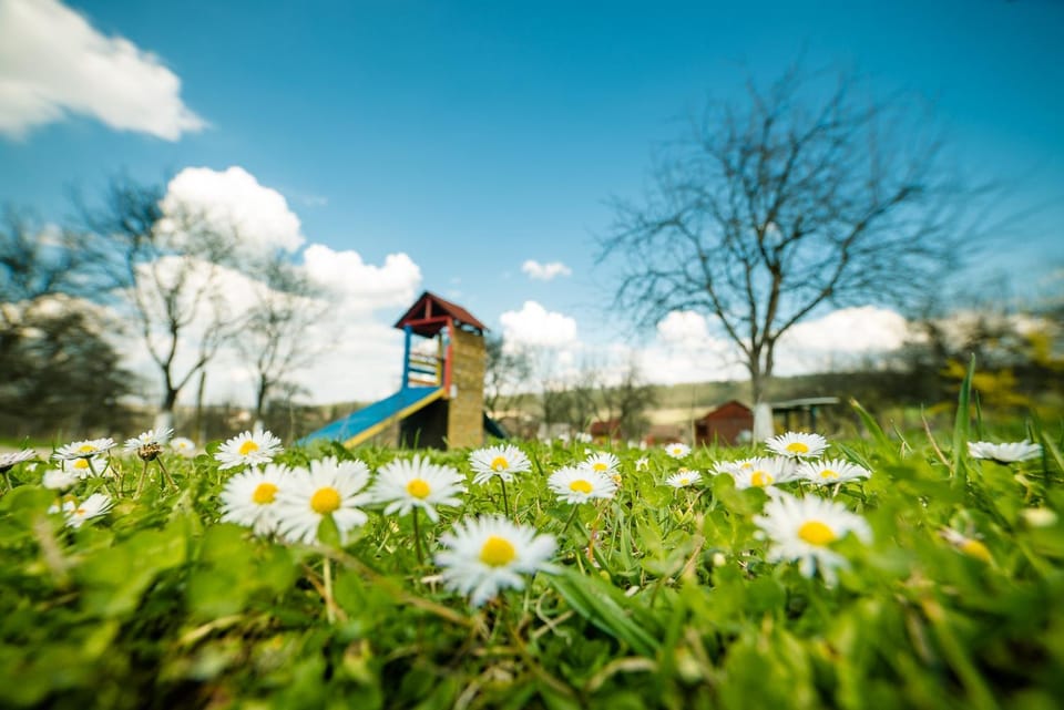 Natural landscape, Garden, Garden view