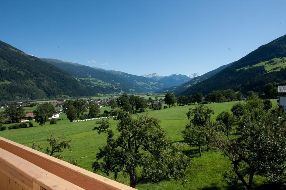 View (from property/room)