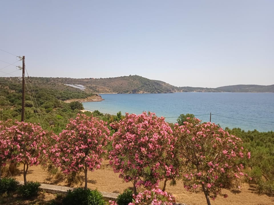 Skoutari Beach Hotel Apartment hotel in Peloponnese Region