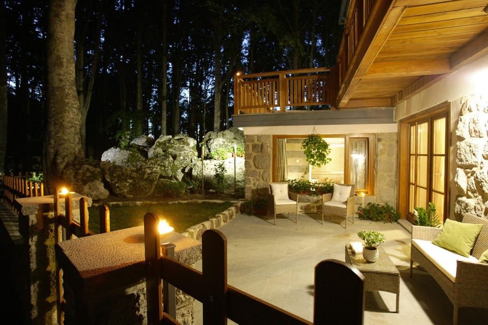Patio, Night, Garden, Garden view