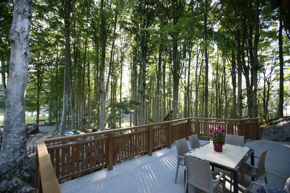 Property building, Patio, Spring, Day, Natural landscape, Garden, View (from property/room), Balcony/Terrace, Dining area, Garden view