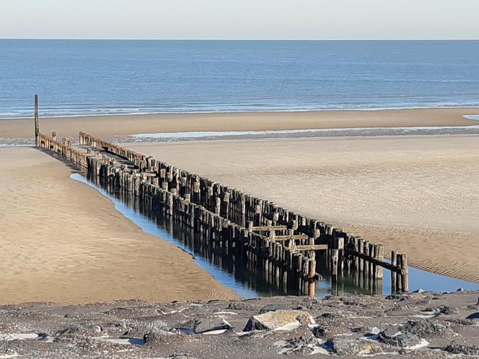 Tinyhouse de tuinfluiter Nature lodge in Oostkapelle