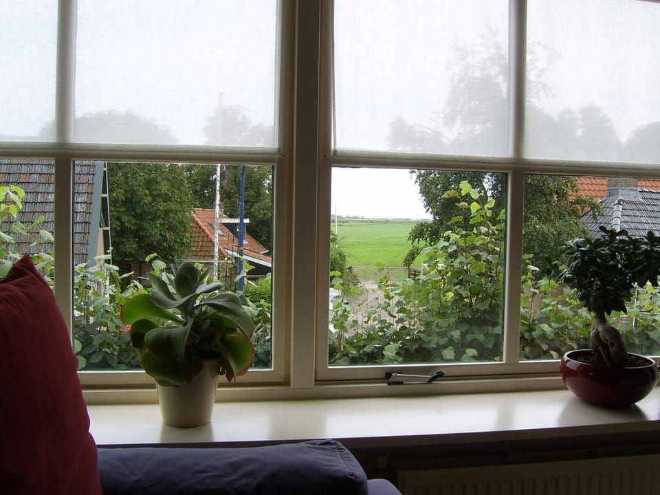 View (from property/room), Seating area
