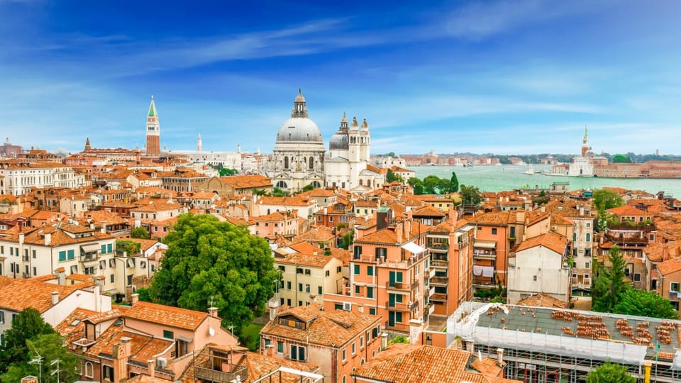 View (from property/room), City view