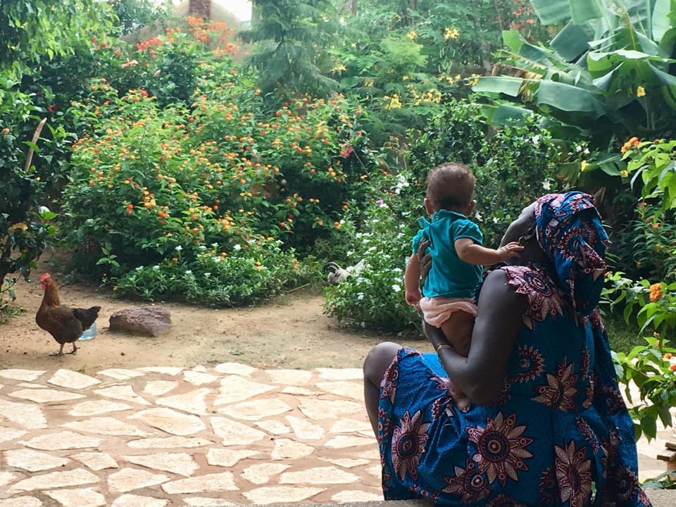 Staff, Garden view, Family