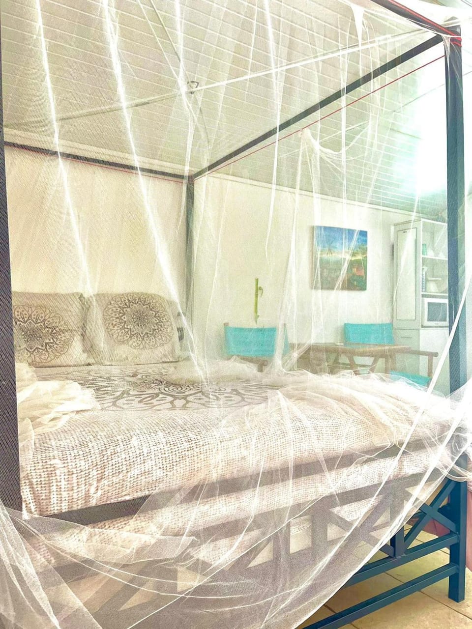 Photo of the whole room