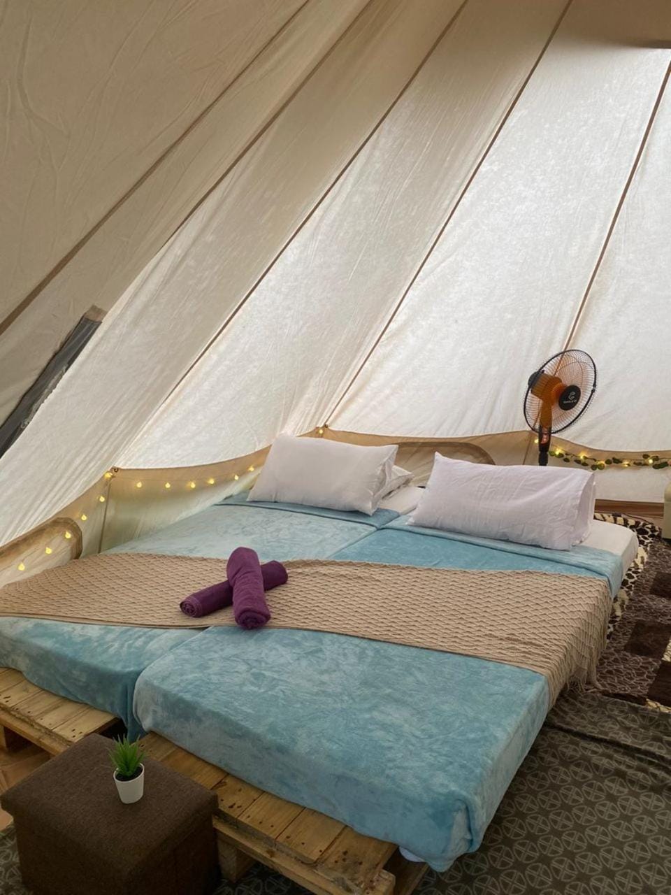 Bed