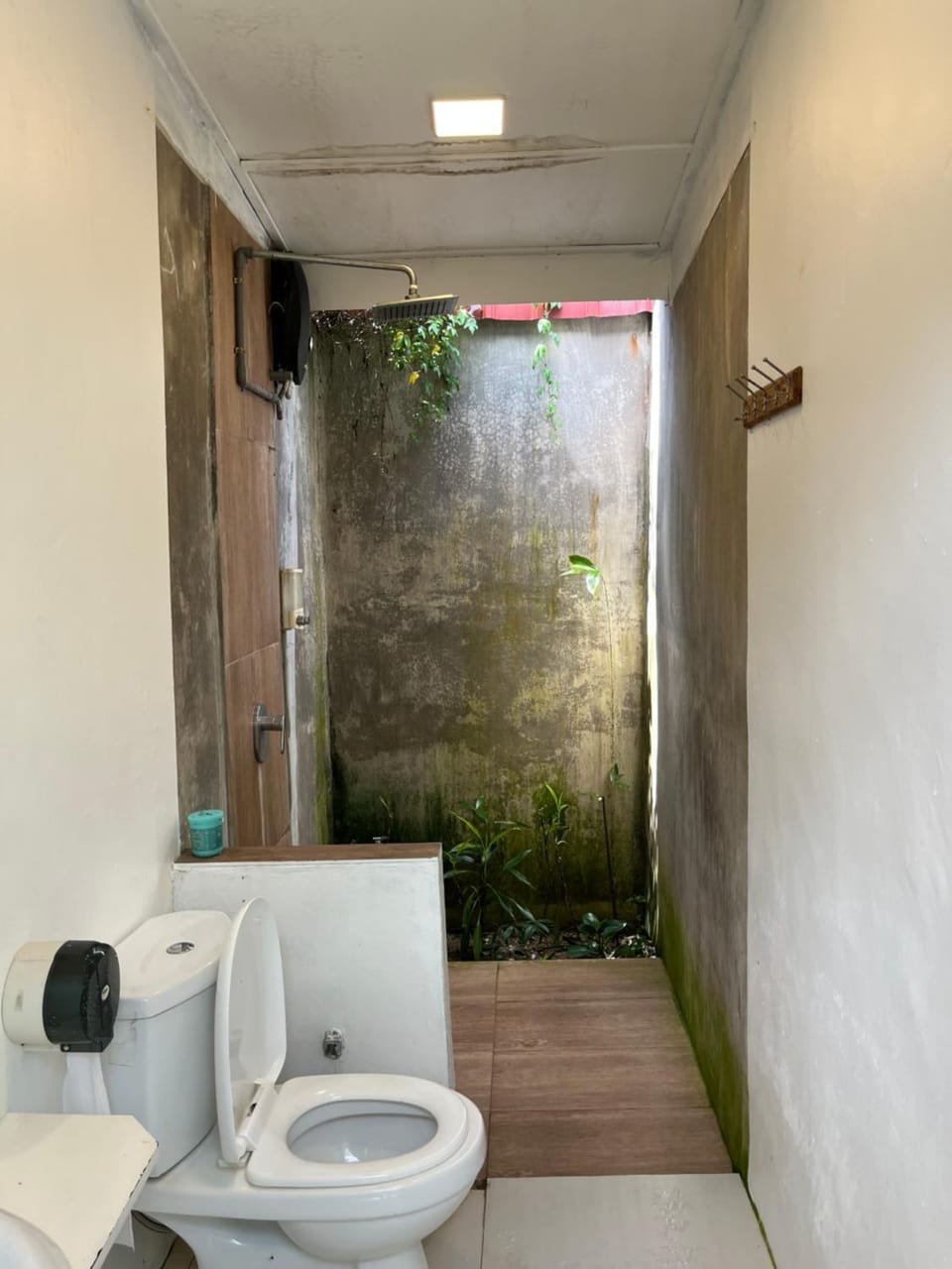 Toilet, Bathroom