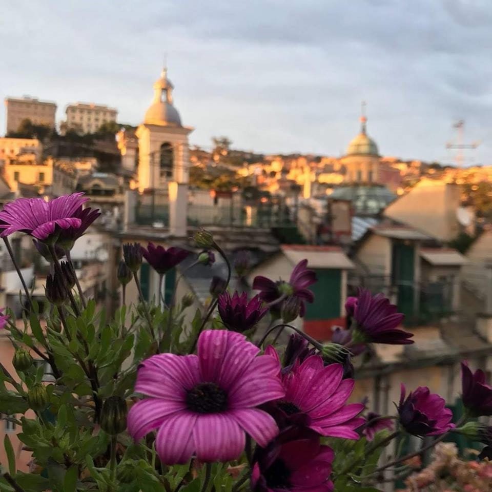 Balcony/Terrace, City view