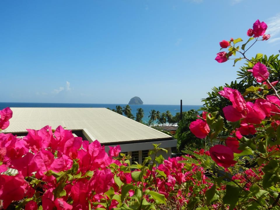 Natural landscape, Garden, Garden view, Sea view