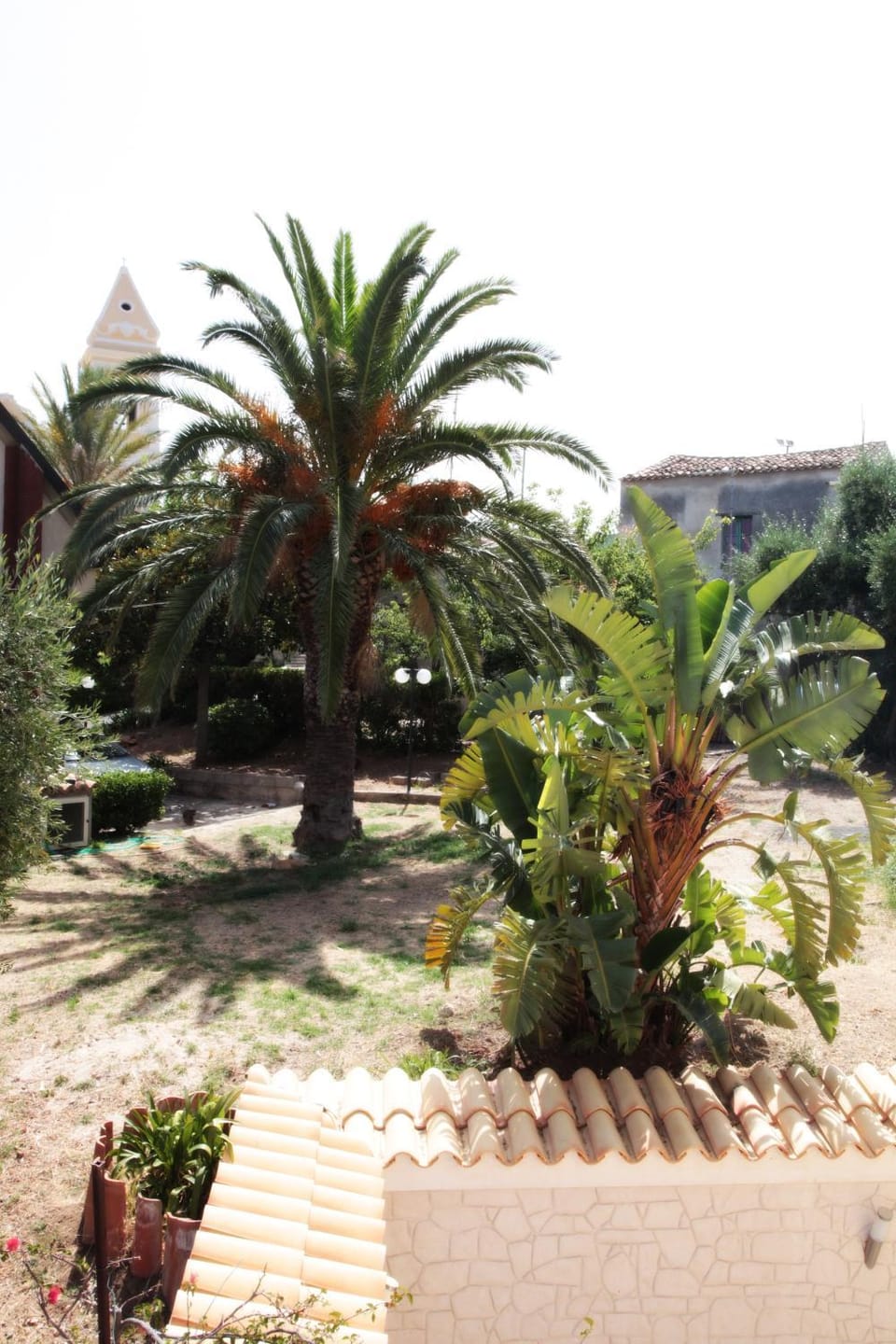 Day, Garden