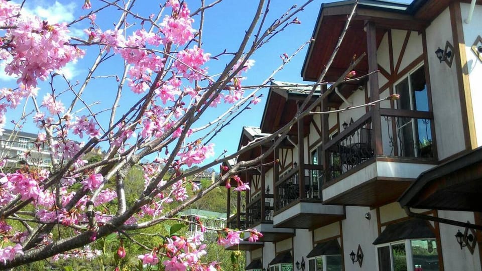 StarVilla Bed and Breakfast in Taiwan, Province of China