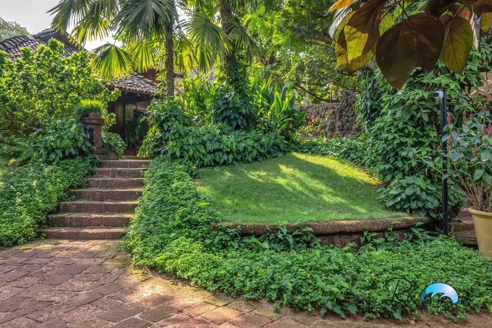 Patio, Natural landscape, Garden view