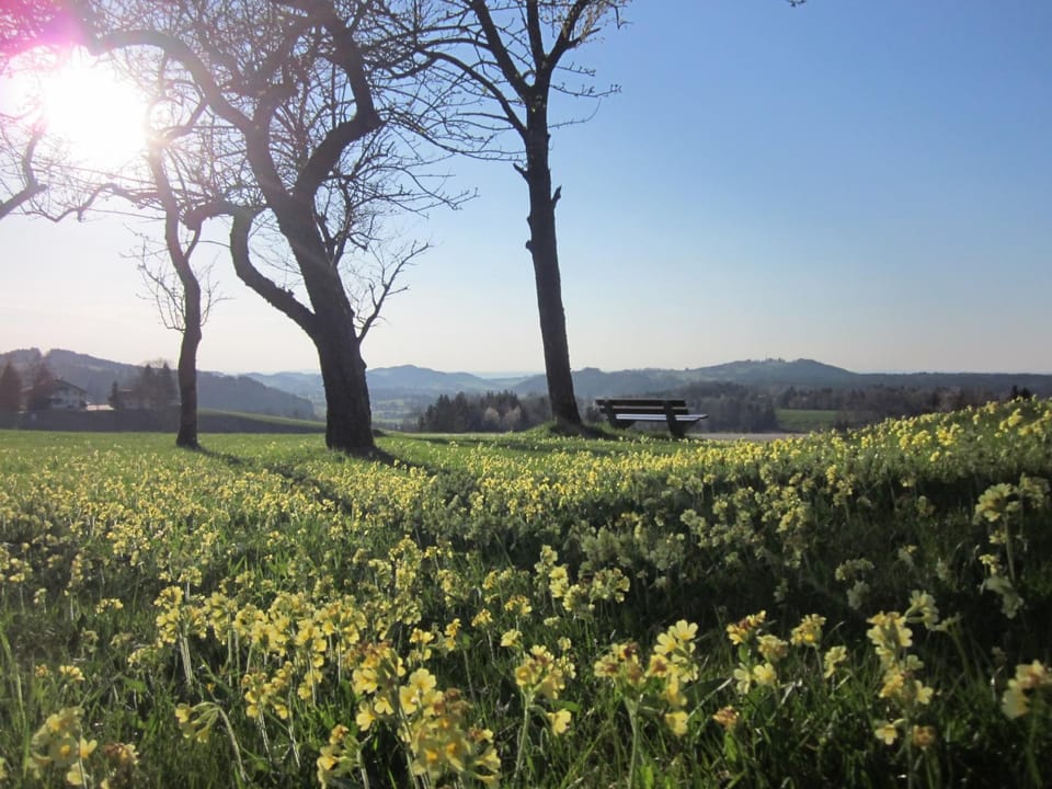 Ferienhaus am Riedl House in Berchtesgadener Land