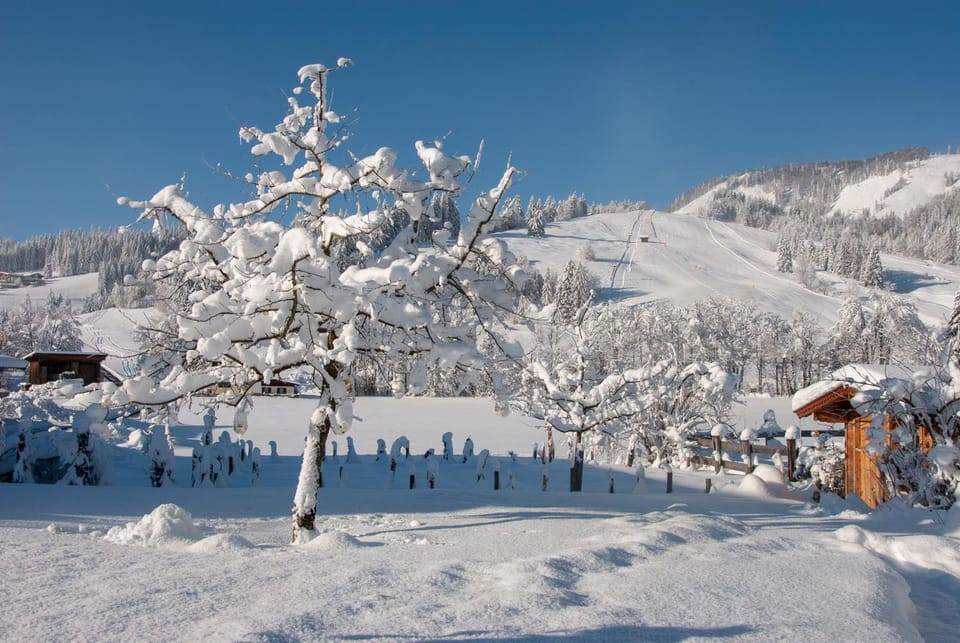Das Glaagut - Familie Hain Farm Stay in Salzburgerland