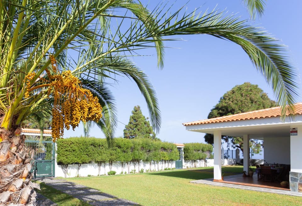 Garden, Balcony/Terrace