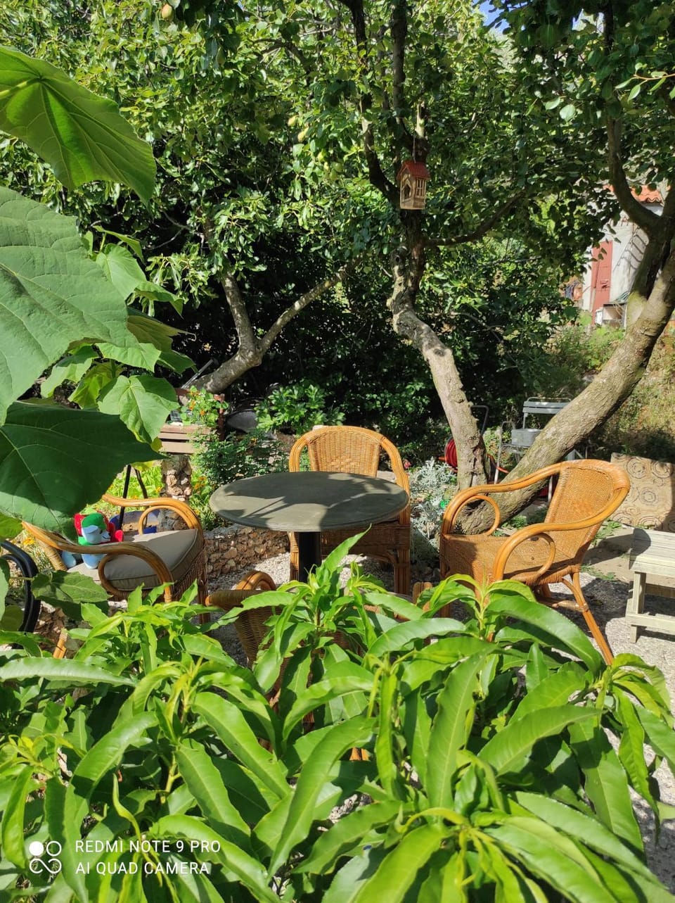 Day, Garden, Garden view