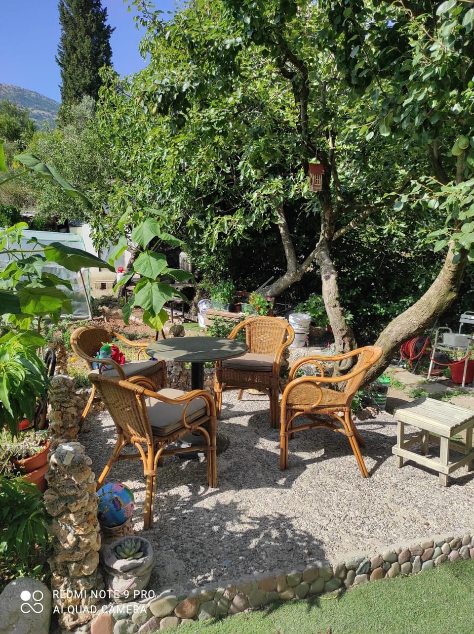 Day, Garden, Garden view